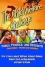 Cover: The Child Welfare Challenge - AldineTransaction