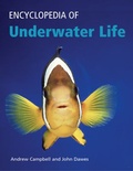 Cover: Encyclopedia of Underwater Life - Oxford University Press