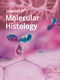 Abbildung von: Journal of Molecular Histology - Springer