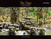 Enlarge image Cover: The Tiger - OUP India