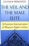 Cover: The Veil And The Male Elite - Perseus Books