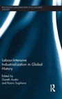 Cover: Labour-Intensive Industrialization in Global History - Routledge