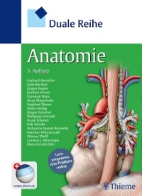 Abbildung von: Duale Reihe Anatomie - Thieme