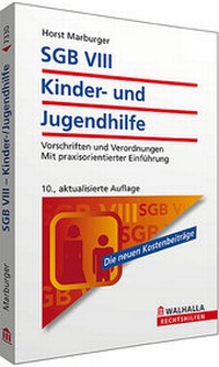 Abbildung von: SGB VIII - Kinder- und Jugendhilfe - Walhalla