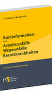 Abbildung von: Kurzinformation über Arbeitsunfälle - Wegeunfälle - Berufskrankheiten - Erich Schmidt Verlag