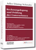 Cover: Rechnungslegung und Pr&uuml;fung der Unternehmen Online - Sch&auml;ffer-Poeschel