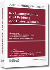 Abbildung von: Rechnungslegung und Prüfung der Unternehmen Online - Schäffer-Poeschel