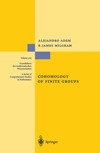 Abbildung von: Cohomology of Finite Groups - Springer