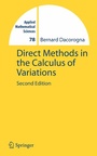 Cover: Direct Methods in the Calculus of Variations - Springer