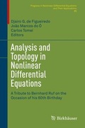 Cover: Analysis and Topology in Nonlinear Differential Equations - Springer