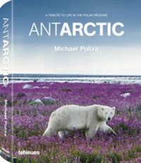 Abbildung von: ANTARCTIC - teNeues Media