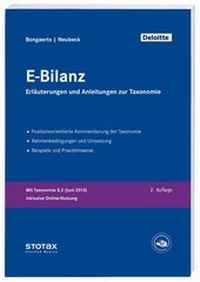 Bild vergrößern Bild: E-Bilanz - Stollfuß