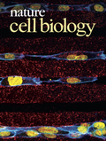 Abbildung von: Nature Cell Biology - Nature Portfolio