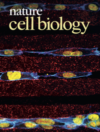 Abbildung von: Nature Cell Biology - Nature Portfolio