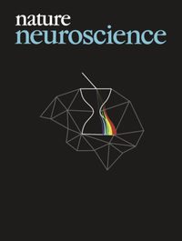 Abbildung von: Nature Neuroscience - Nature Portfolio