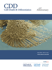 Abbildung von: Cell Death & Differentiation - Springer