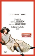 Cover: Warum ein Leben ohne Goethe sinnlos ist - DVA