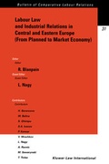 Abbildung von: Labour Law and Industrial Relations in Central and Eastern Europe:From Planned to a Market Economy - Kluwer Law International