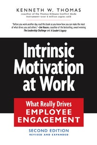 Enlarge image Cover: Intrinsic Motivation at Work - Berrett-Koehler