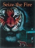 Cover: Seize the Fire - Longman