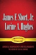 Cover: Juvenile Delinquency and Delinquents - Pearson