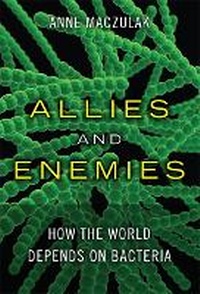 Enlarge image Cover: Allies and Enemies - Financial TImes Prentice Hall