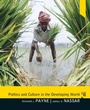 Cover: Politics and Culture in the Developing World - Routledge