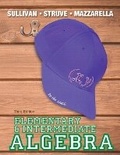 Cover: Elementary & Intermediate Algebra - Pearson
