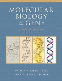 Abbildung von: Molecular Biology of the Gene - Pearson