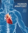 Cover: Human Anatomy - Pearson
