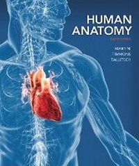 Enlarge image Cover: Human Anatomy - Pearson