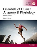 Cover: Essentials of Human Anatomy & Physiology with MasteringA&P, Global Edition - Pearson Education Limited
