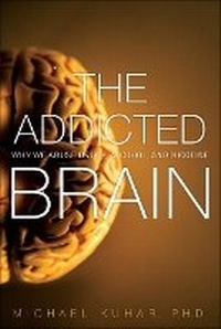 Enlarge image Cover: Addicted Brain, The - Addison Wesley