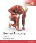 Cover: Human Anatomy, Global Edition - Pearson Education Limited