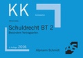 Cover: Karteikarten Schuldrecht BT 2 - Alpmann Schmidt