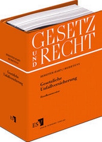 Abbildung von: Gesetzliche Unfallversicherung - Grundwerk mit Fortsetzungsbezug - Erich Schmidt Verlag