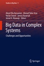 Cover: Big Data in Complex Systems - Springer