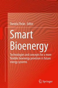 Enlarge image Cover: Smart Bioenergy - Springer