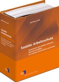 Abbildung von: Sozialer Arbeitsschutz - Grundwerk mit Fortsetzungsbezug - Erich Schmidt Verlag