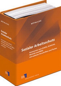 Abbildung von: Sozialer Arbeitsschutz - Grundwerk mit Fortsetzungsbezug - Erich Schmidt Verlag