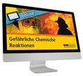Cover: Gef&auml;hrliche Chemische Reaktionen online - ecomed Storck