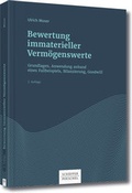 Cover: Bewertung immaterieller Verm&ouml;genswerte - Sch&auml;ffer-Poeschel