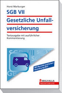 Abbildung von: SGB VII - Gesetzliche Unfallversicherung - Walhalla