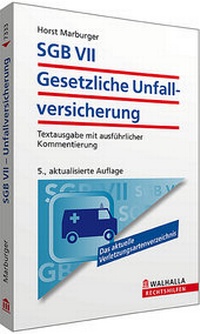 Abbildung von: SGB VII - Gesetzliche Unfallversicherung - Walhalla