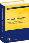 Cover: Handbuch Lagebericht - Erich Schmidt Verlag
