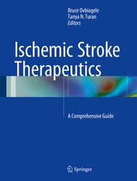 Abbildung von: Ischemic Stroke Therapeutics - Springer