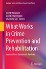 Cover: What Works in Crime Prevention and Rehabilitation - Springer