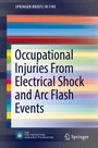 Cover: Occupational Injuries From Electrical Shock and Arc Flash Events - Springer