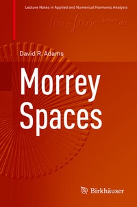 Enlarge image Cover: Morrey Spaces - Birkhäuser