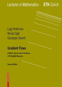 Abbildung von: Gradient Flows - Birkhäuser